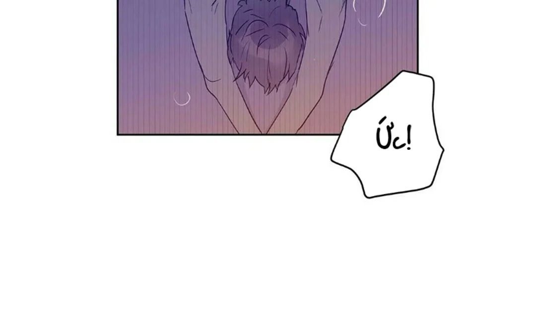 guide cấp b chapter 22 30