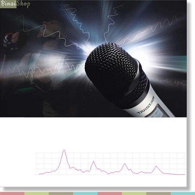 Takstar TS-8807TT / TS-8807HH - Micro Không Dây UHF 2 Kênh Cho Hội Nghị, Giảng Dạy, Phát Thanh- Hàng chính hãng