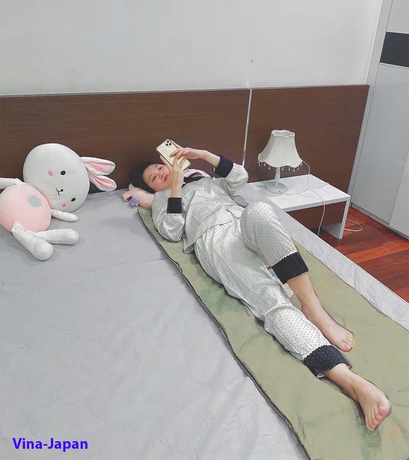 Thảm ngải cứu điện Đông Y, Đệm sưởi ngải cứu đông y Cao Cấp Hỗ trợ giảm đâu nhức Toàn Thân