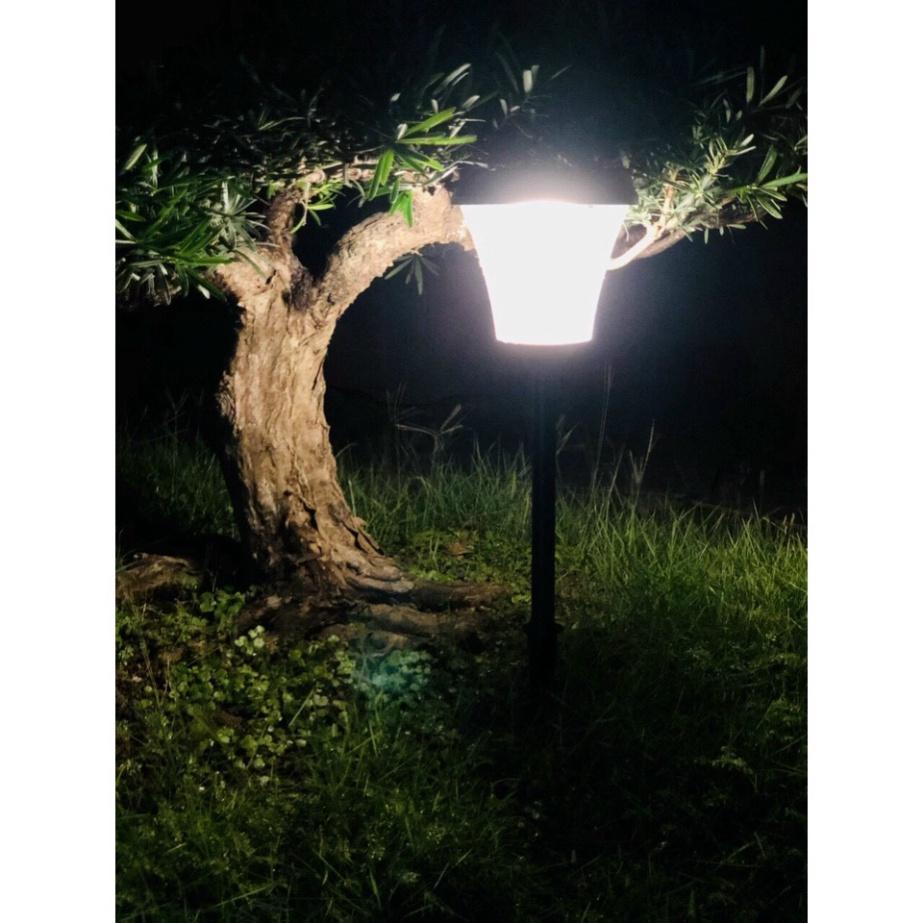Đèn nấm vườn cửa - đèn cắm cỏ NĂNG LƯƠNG MẶT TRỜI, dẫn lối tích điện mặt trời DDT
