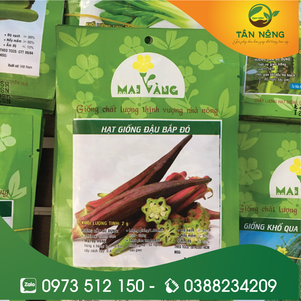 2GR - HẠT GIỐNG ĐẬU BẮP ĐỎ