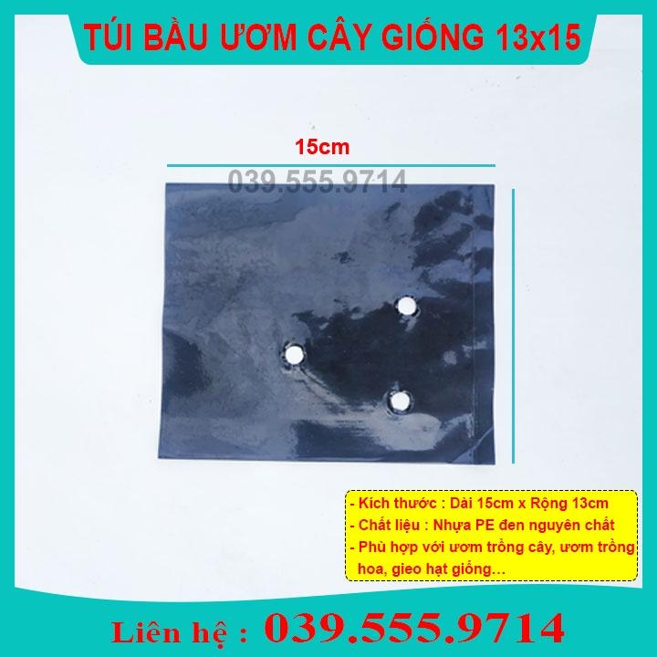 TÚI BẦU VUÔNG ƯƠM CÂY GIỐNG (13x15cm) 1KG - CHẬU NHỰA DẺO