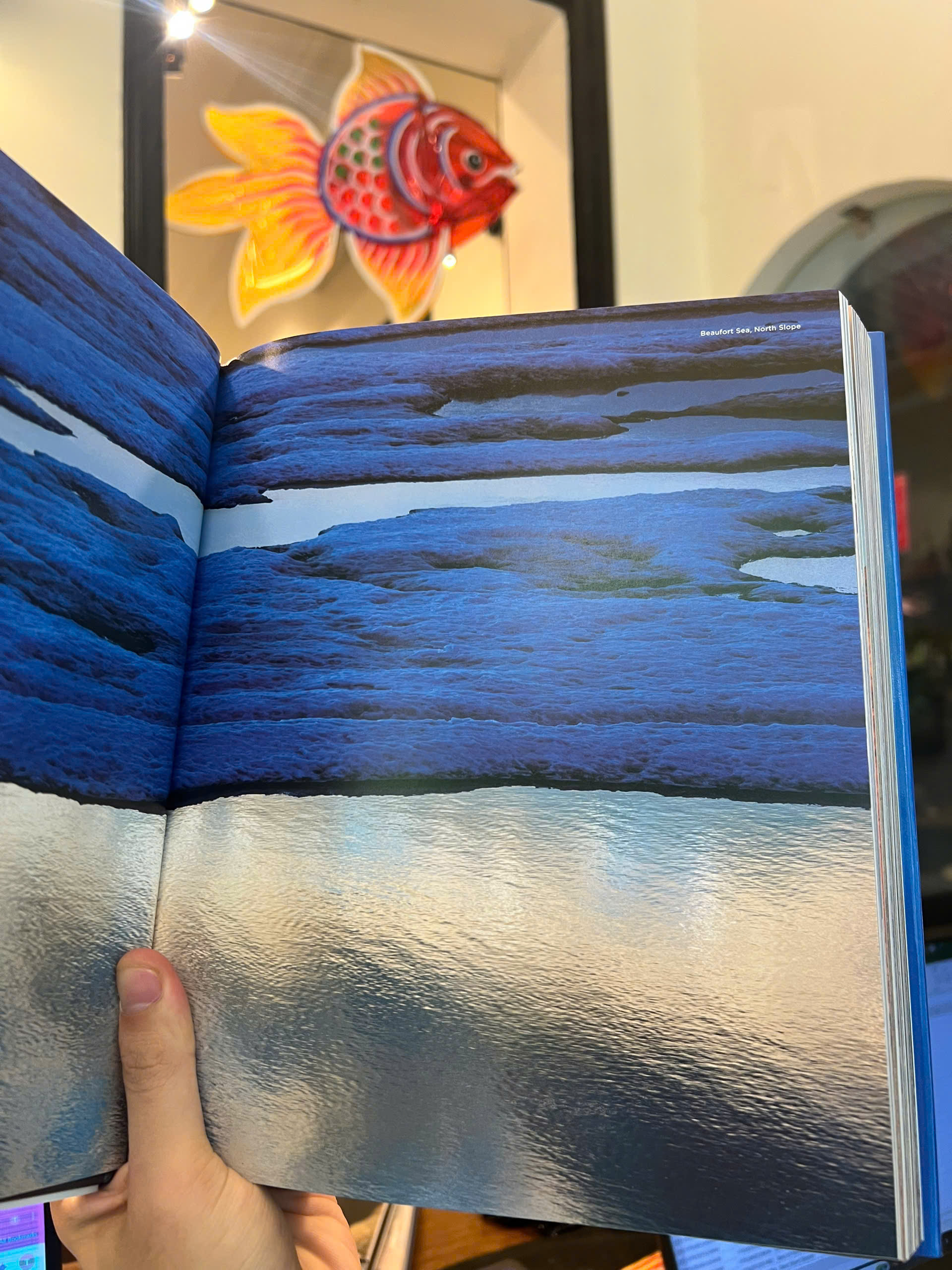 Sách - Alaska by Katja Sassmannshausen | Art &amp; Design / Ngoại văn Bìa cứng Nhập khẩu UK / Nghệ thuật