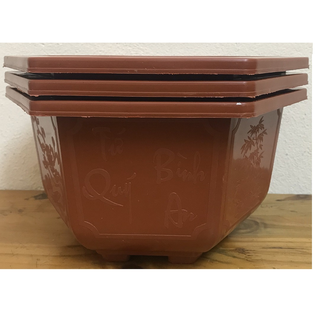 3 Châu Nhựa Bonsai Lục Giác Bình Thuận 250x150 Trồng Hoa, Cây Cảnh