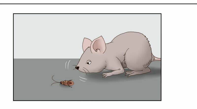 thế giới cận tử chapter 1 2