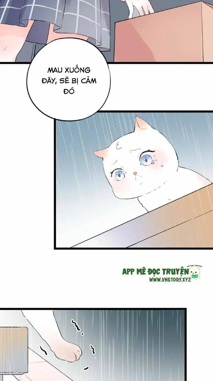 trạch thượng tịch mịch huỳnh hỏa chapter 42 48