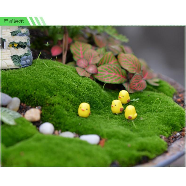 Tiểu cảnh mini ️ Gà vàng nhỏ H070 chơi trong vườn trang trí sen đá, sân vườn, bể cá, tiểu cảnh