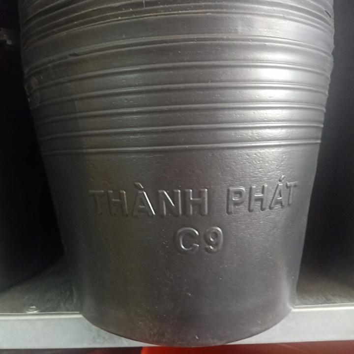 Chậu nhựa đen C9 220x170 50 chậu