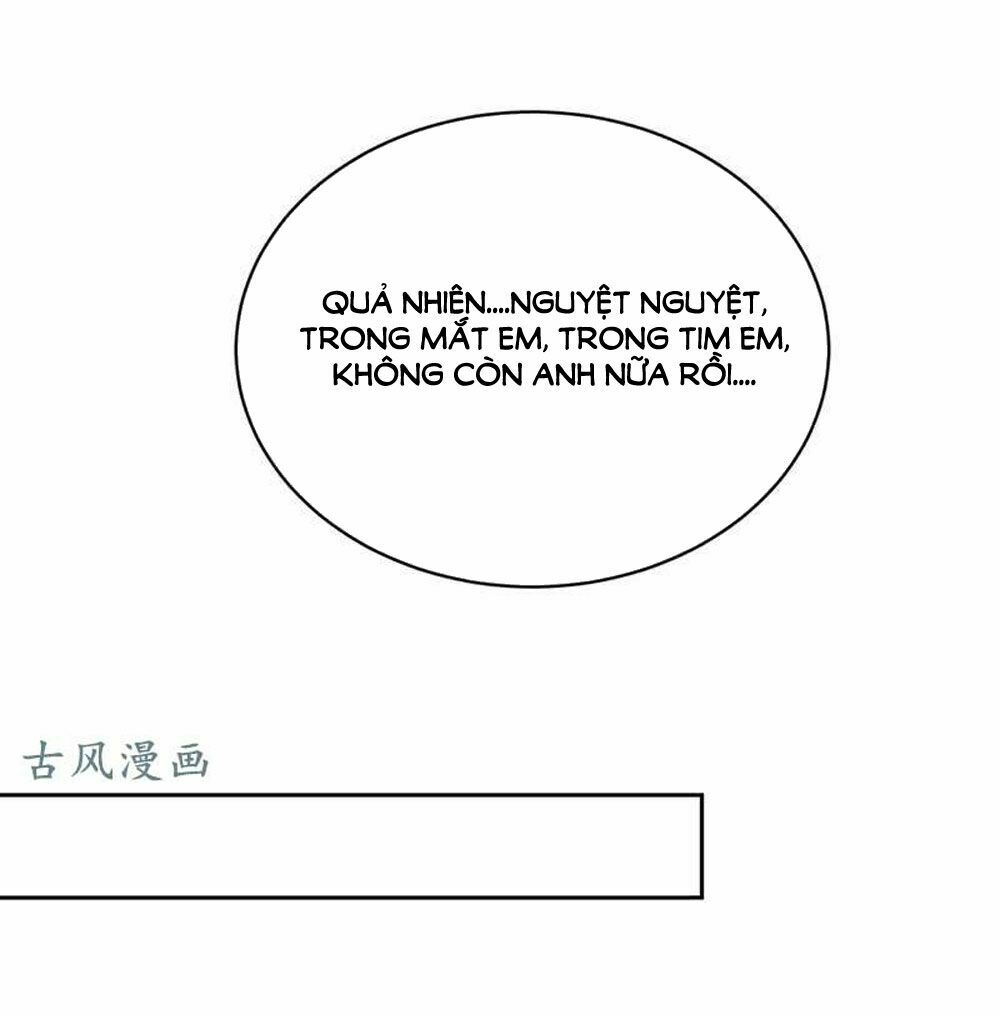 cả thế giới đều không bằng người chapter 81 39