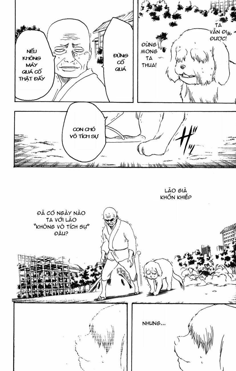 gintama - linh hồn bạc chapter 209 14