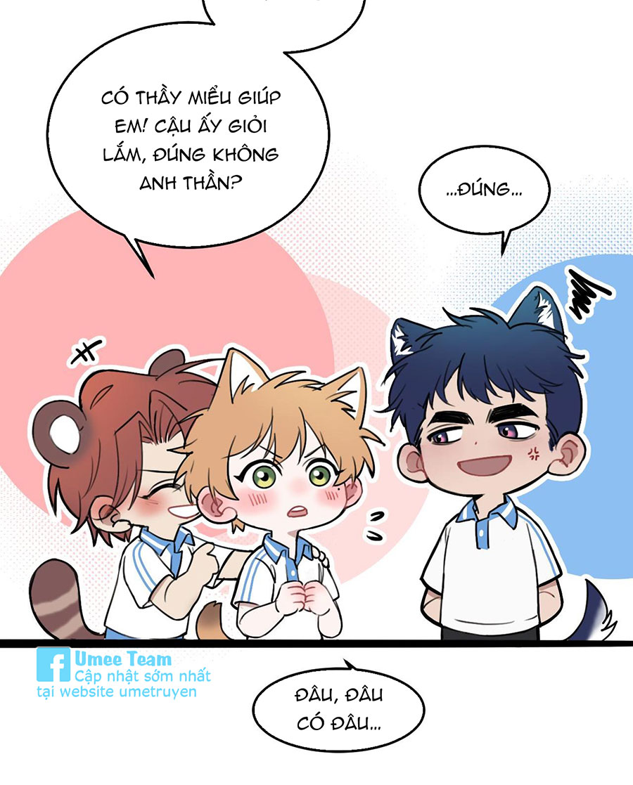 rốt cuộc bé mèo đang nghĩ gì ? chapter 12 44