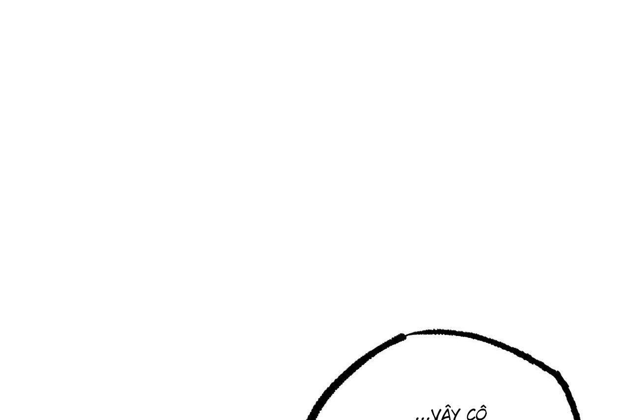 những chú thỏ của hapypy chapter 61 64