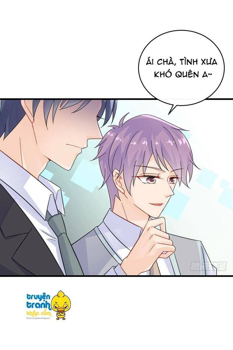 chọc tới chủ tịch tổng tài 2 chapter 22 5