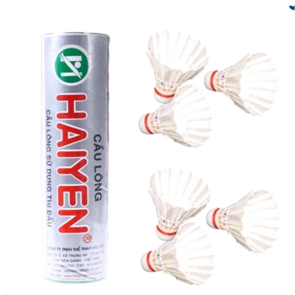 Cặp 2 cây Vợt Cầu Lông Haotian siêu nhẹ bền đẹp