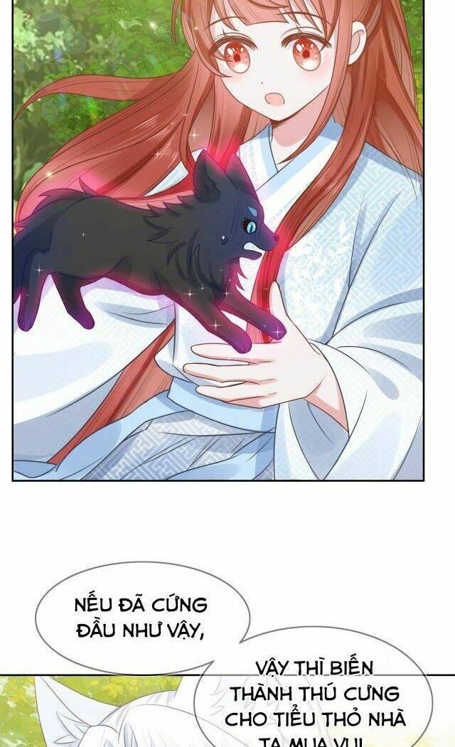 hắc hóa nam chính trực tuyến nuôi thỏ chapter 17 26