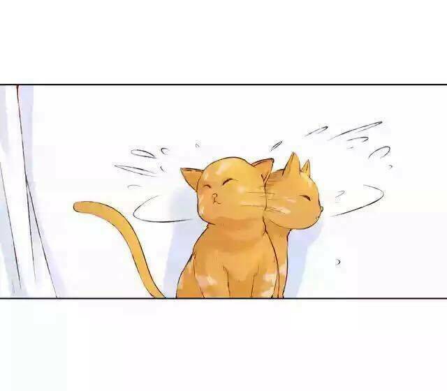 tôi không phải đa nhân cách chapter 17 9