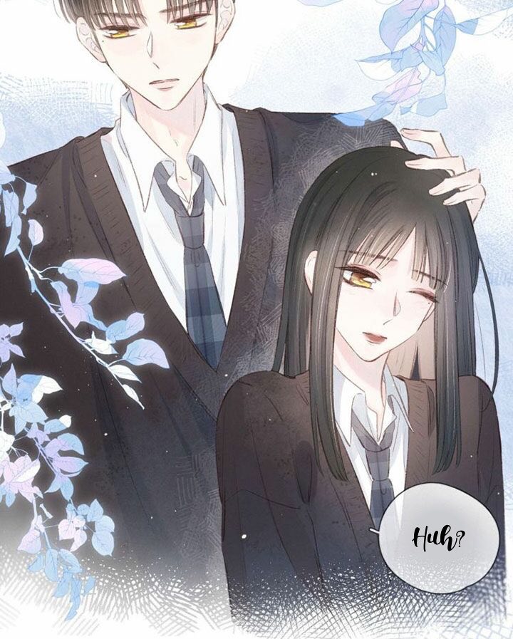 nỗi buồn của hoa cẩm tú cầu chapter 24 29