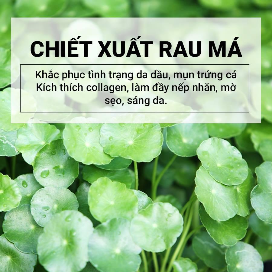 Tinh Chất Rau Má Hỗ Trợ Giảm Mụn, Dịu Da Skin1004 Madagascar Centella Asiatica 100 Ampoule 100ml