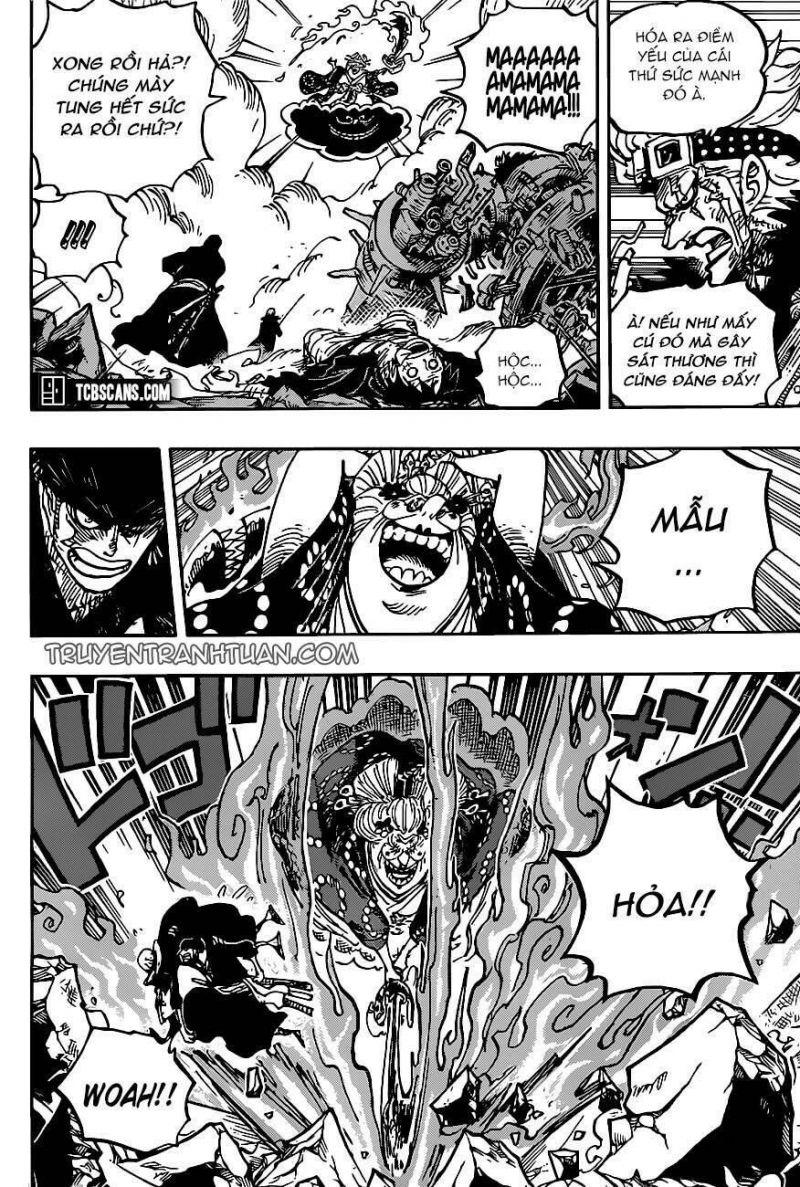 đảo hải tặc - one piece chapter 1003 5