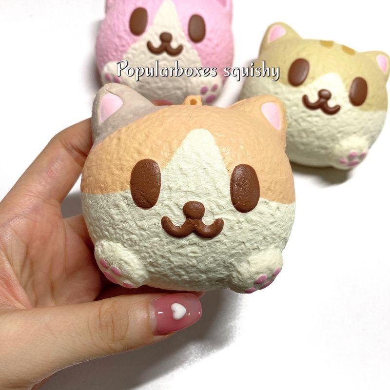 Squishy Mặt Mèo Ibloom size nhỏ (có ảnh khách mua)