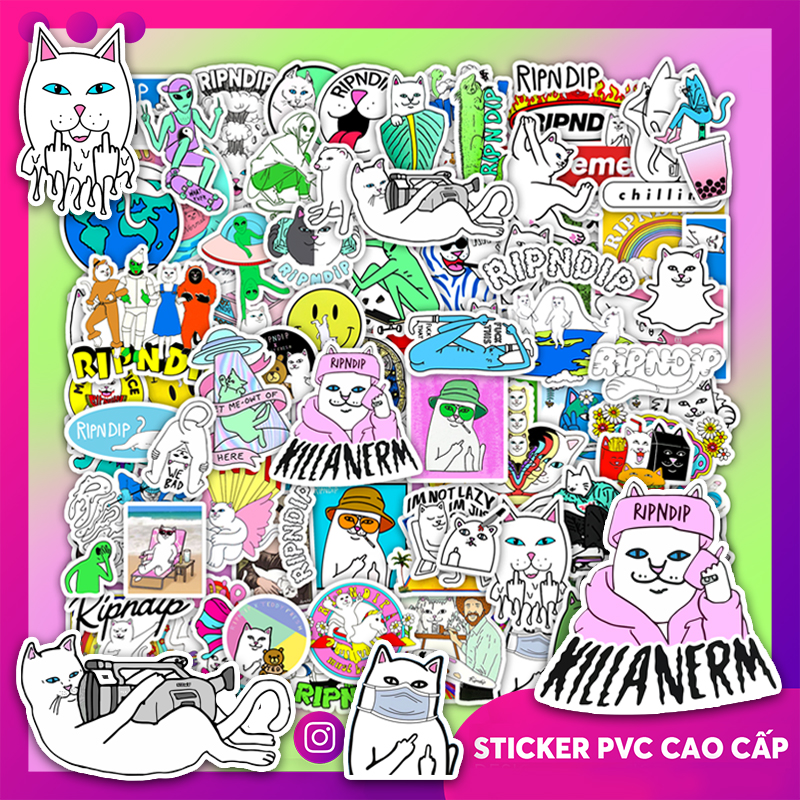 Set 50 Hình Mèo Ripndip
