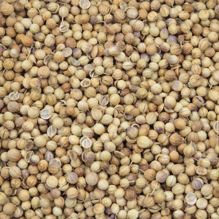 Hạt Ngò Ông Chà Và 110g