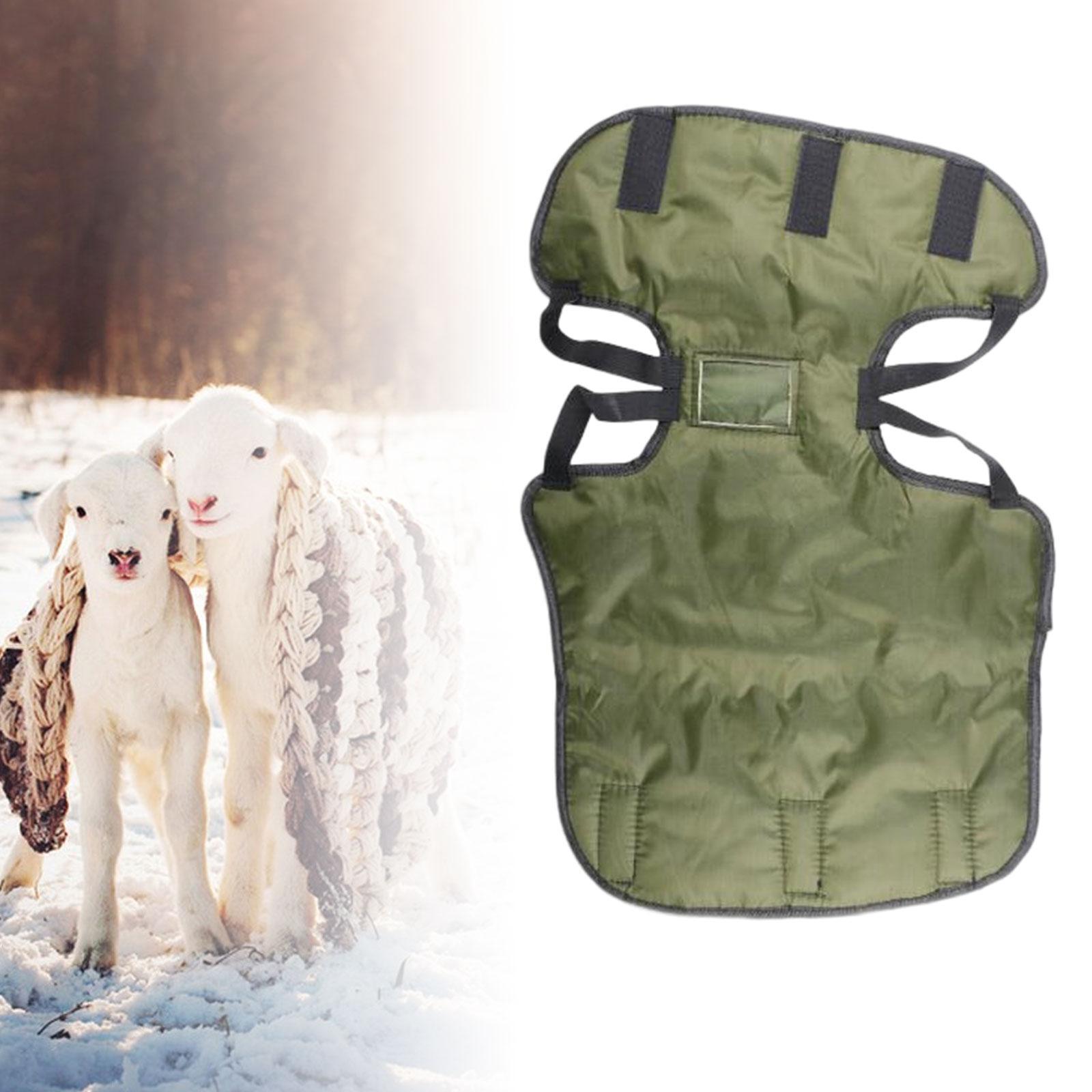 Cow Blanket Windproof Jacket Calf Warm Clothing for Pasture Livestock Sheep