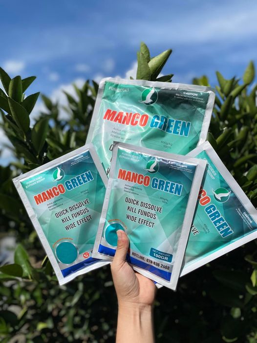 MANCOZEB XANH GÓI 100GAM