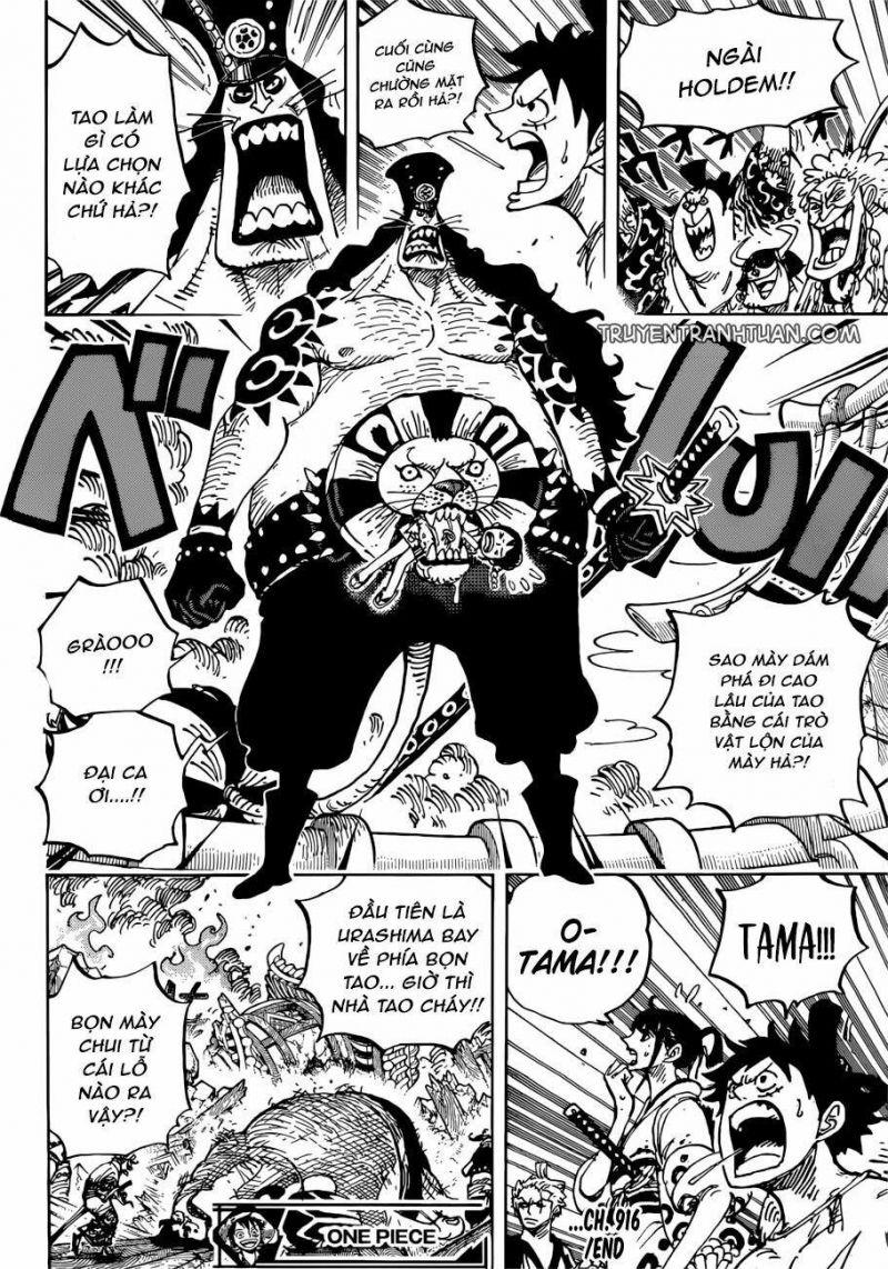 đảo hải tặc - one piece chapter 916 15