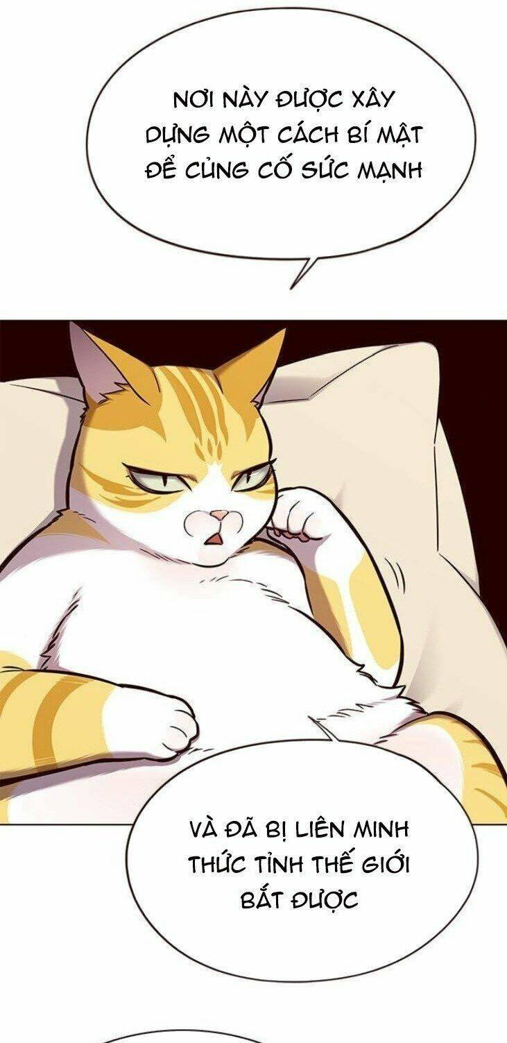 biến thân thành mèo chapter 146 34