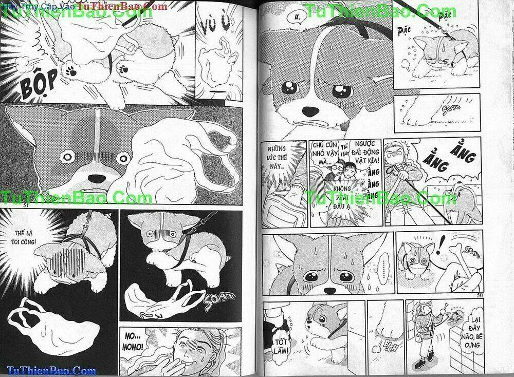 chó con mo mo chapter 2 26