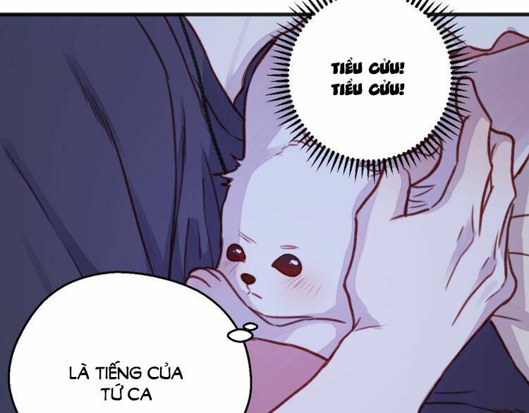 lượm được 1 tiểu hồ ly chapter 76 20