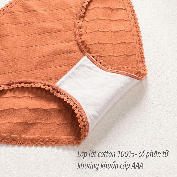 Quần Lót Cotton Kháng Khuẩn Viền Ren