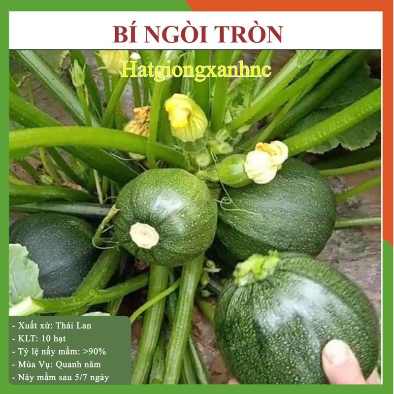 Hạt giống rau củ quả F1 các loại, gói từ 20-35gram, dễ trồng, kháng bệnh tốt. trồng ban công, sân thượng, trong chậu