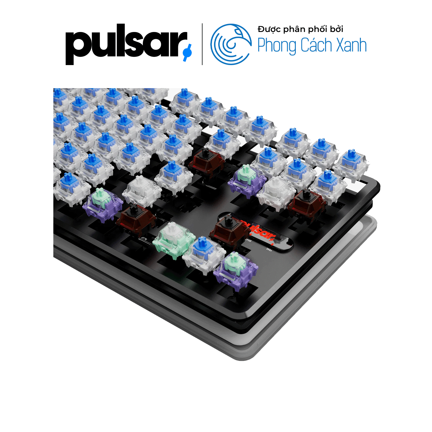 Bàn phím HE Pulsar PCMK 2 HE TKL ANSI - Hỗ trợ Rapid Trigger - Hàng Chính Hãng
