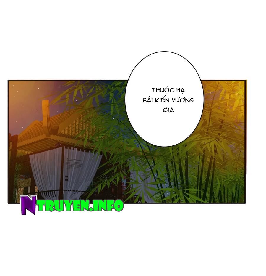 thông linh phi chapter 578 10