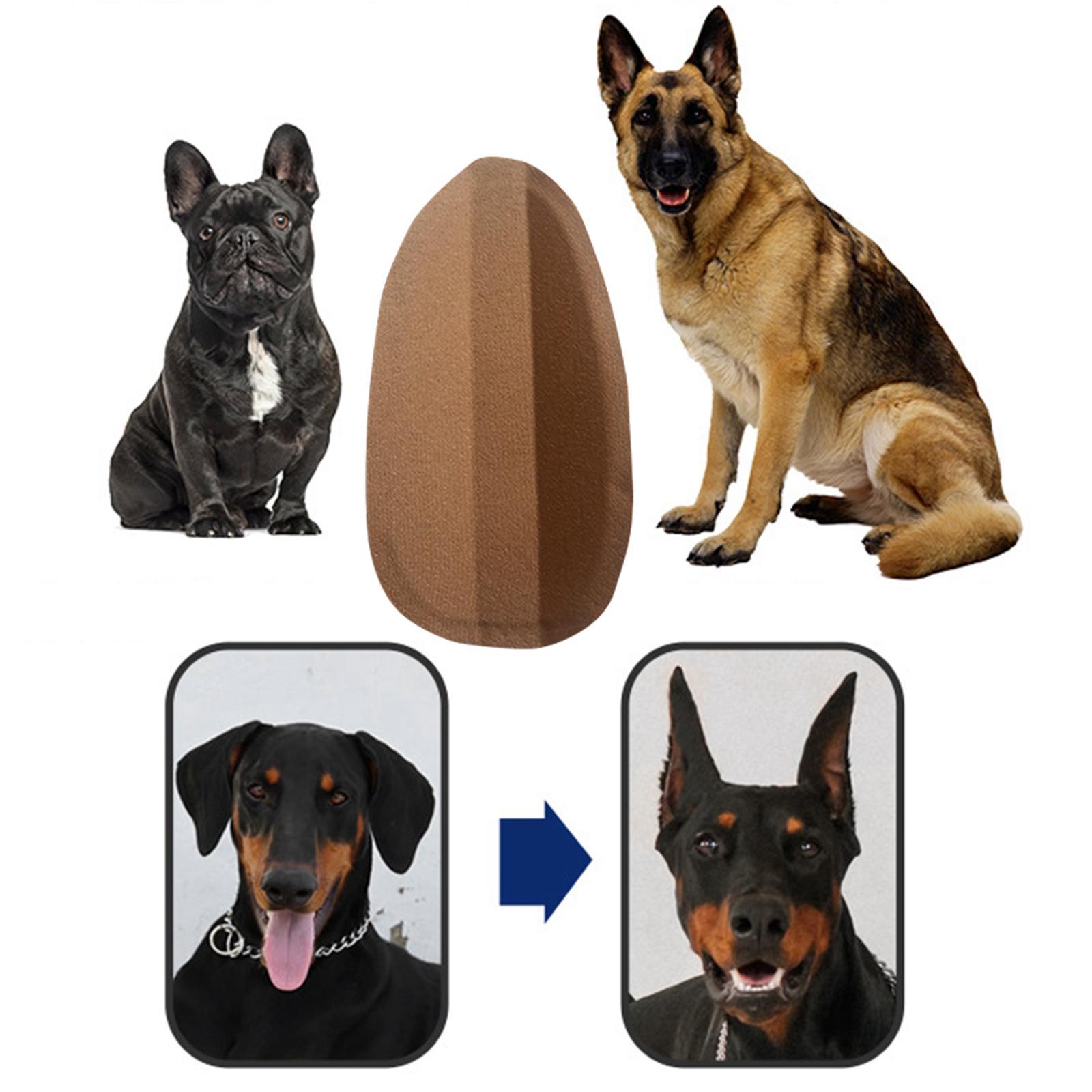 2xDog Ear Stand up Sticker Medium Large Dog Ear Corrector German Shepherd