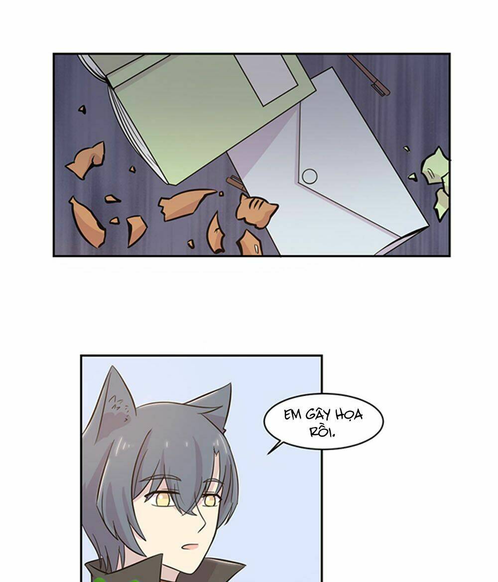 hai chú mèo totem chapter 21 8