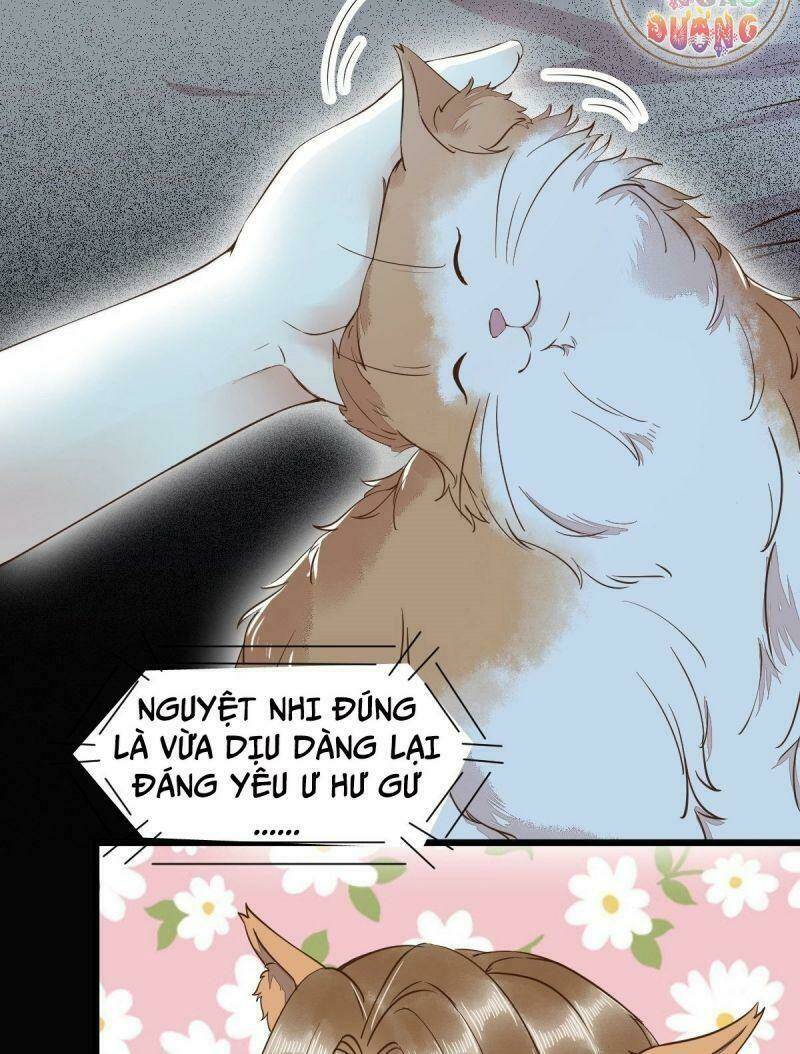 sát thủ vương phi không dễ chọc chapter 38 16