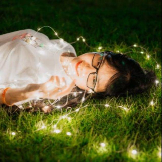 Đèn đom đóm - đèn fairy light 1m-2m chạy pin AA0