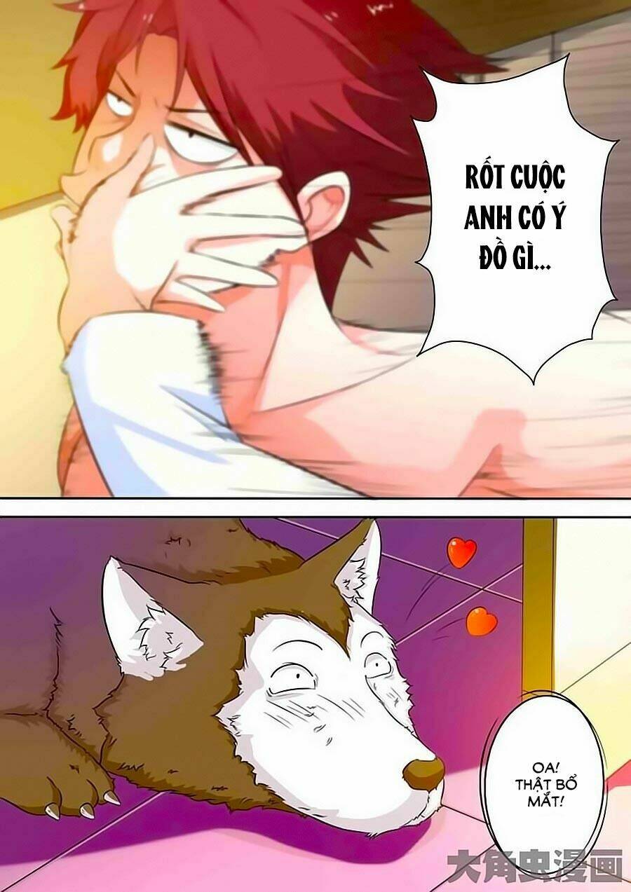 mau lấy con mèo đó ra chapter 19 9