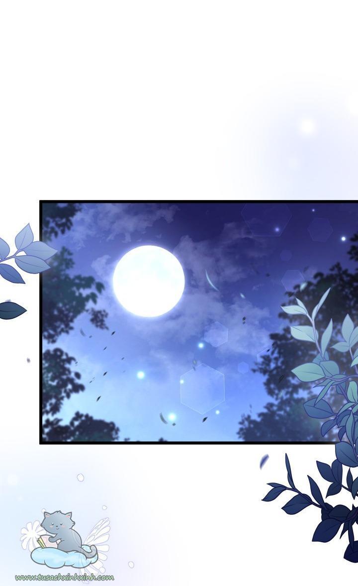 quan hệ cộng sinh giữa báo đen và thỏ trắng chapter 62 41