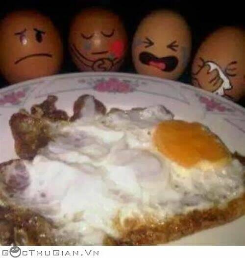 hình ảnh hài hước new chapter 27 21