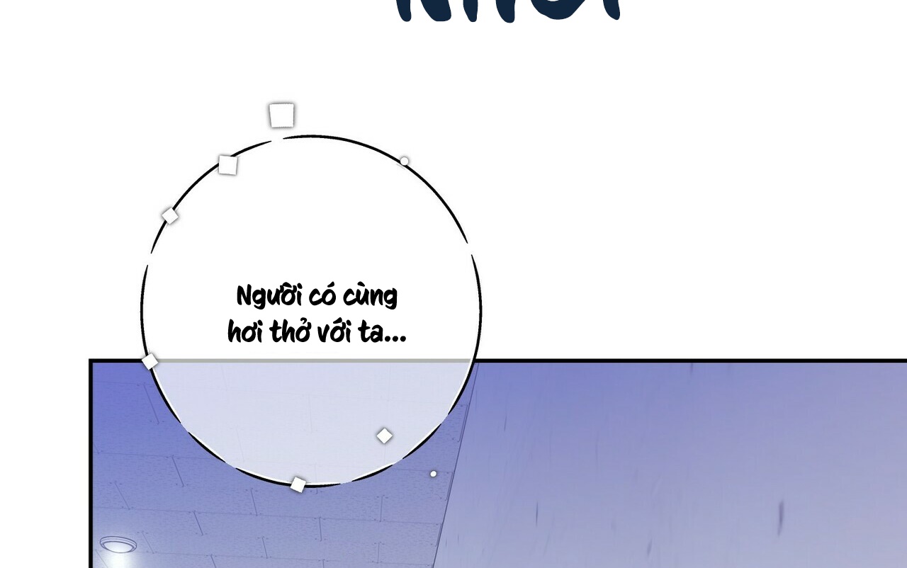 thời gian giữa sói và chó chapter 61 185