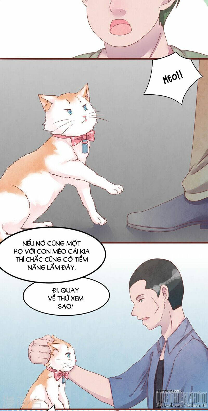 đào tạo nuôi dưỡng bạn trai mèo chapter 50 20