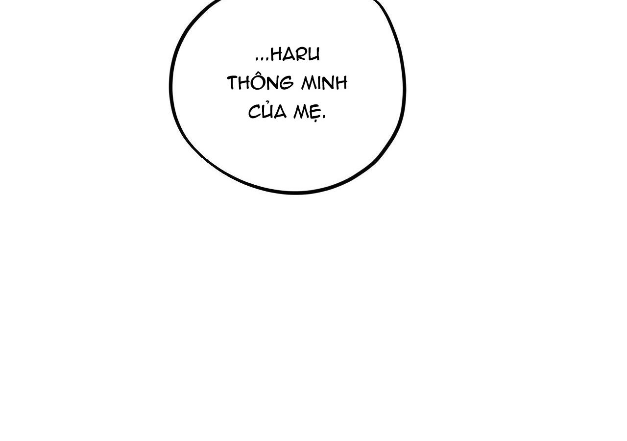 đàn thỏ của habibi chapter 20 228