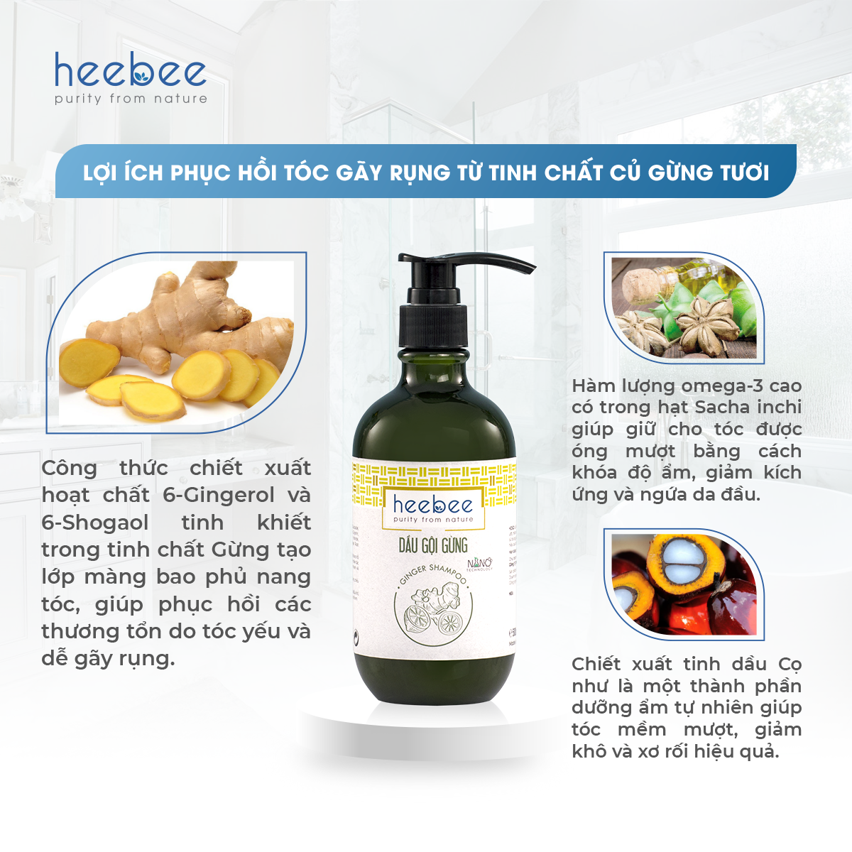 Dầu Gội Gừng Giảm Rụng, Kích Thích Mọc Tóc Heebee Ginger Shampoo 300ml - 500ml