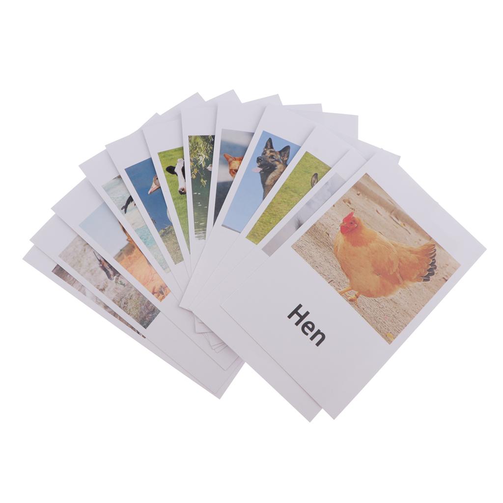 Education Toy Poultry Animals Model Naming Cards for Montessori Education