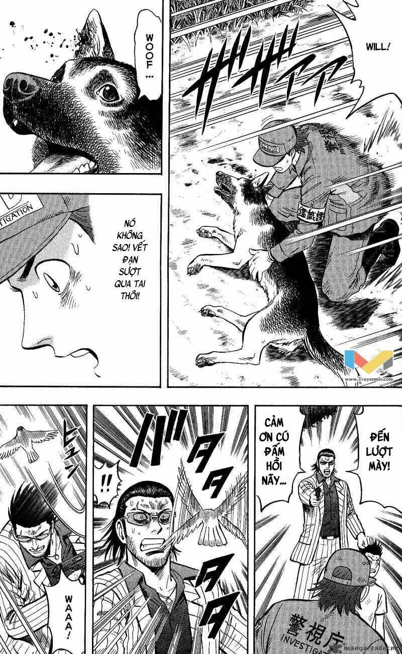 animal sense chapter 13 25