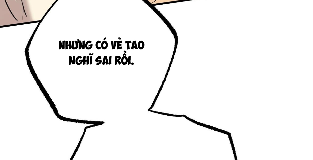 đàn thỏ của habibi chapter 36 216